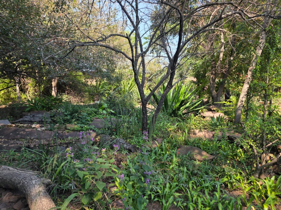 52 Bedroom Property for Sale in Bela Bela Limpopo