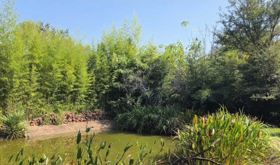 52 Bedroom Property for Sale in Bela Bela Limpopo