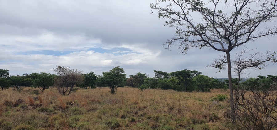 0 Bedroom Property for Sale in Nylsoog Wind and Eco Estate Limpopo