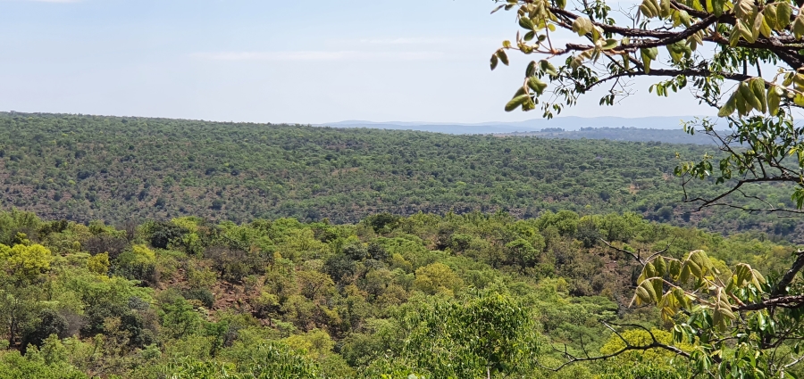 0 Bedroom Property for Sale in Nylsoog Wind and Eco Estate Limpopo