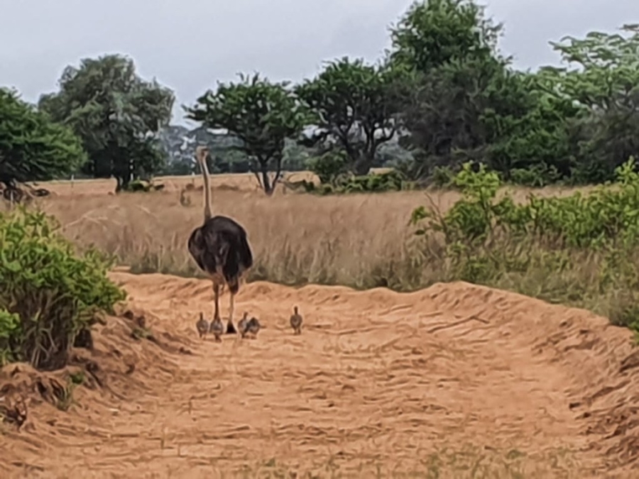 Commercial Property for Sale in Bela Bela Limpopo