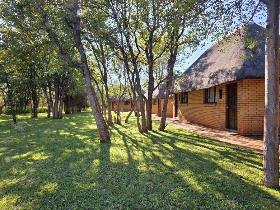 6 Bedroom Property for Sale in Alldays Limpopo