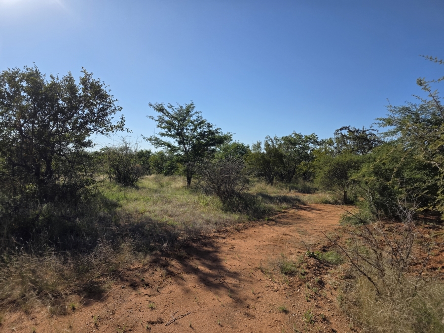 6 Bedroom Property for Sale in Alldays Limpopo