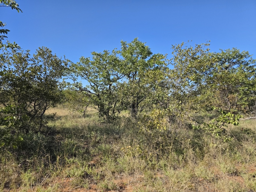 6 Bedroom Property for Sale in Alldays Limpopo