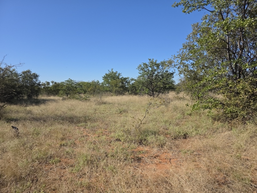 6 Bedroom Property for Sale in Alldays Limpopo