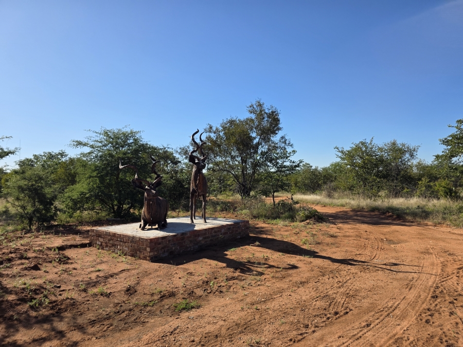 6 Bedroom Property for Sale in Alldays Limpopo