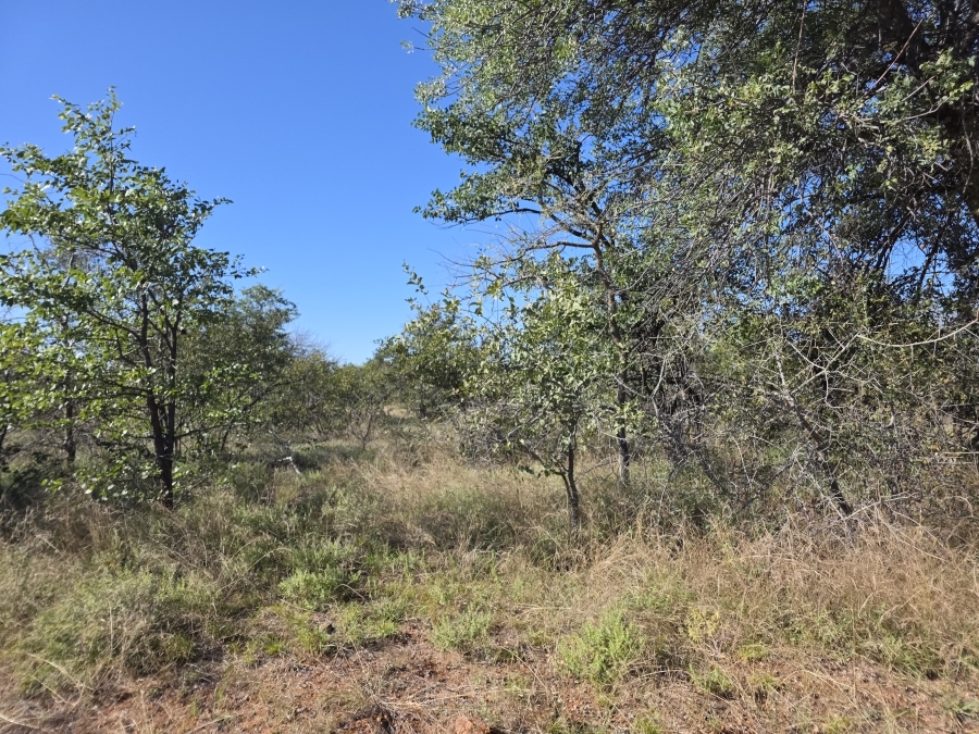 6 Bedroom Property for Sale in Alldays Limpopo