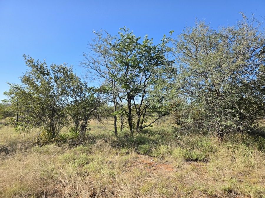 6 Bedroom Property for Sale in Alldays Limpopo