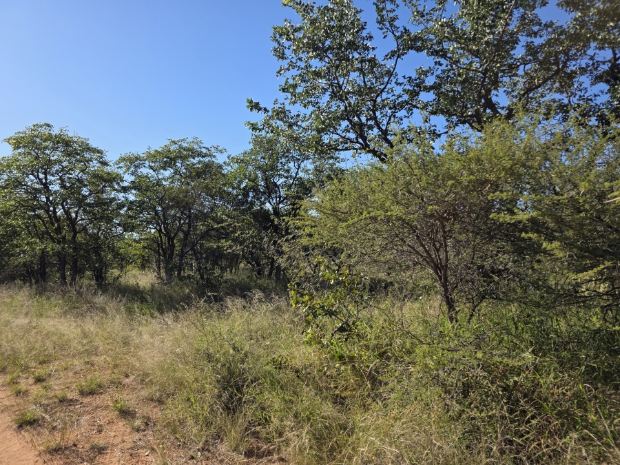 6 Bedroom Property for Sale in Alldays Limpopo