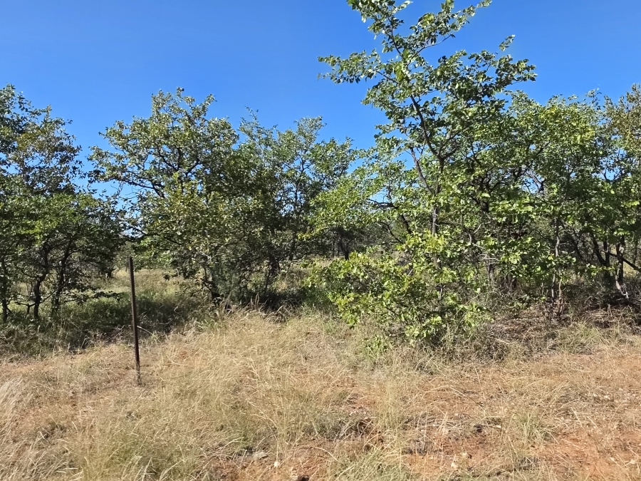 6 Bedroom Property for Sale in Alldays Limpopo