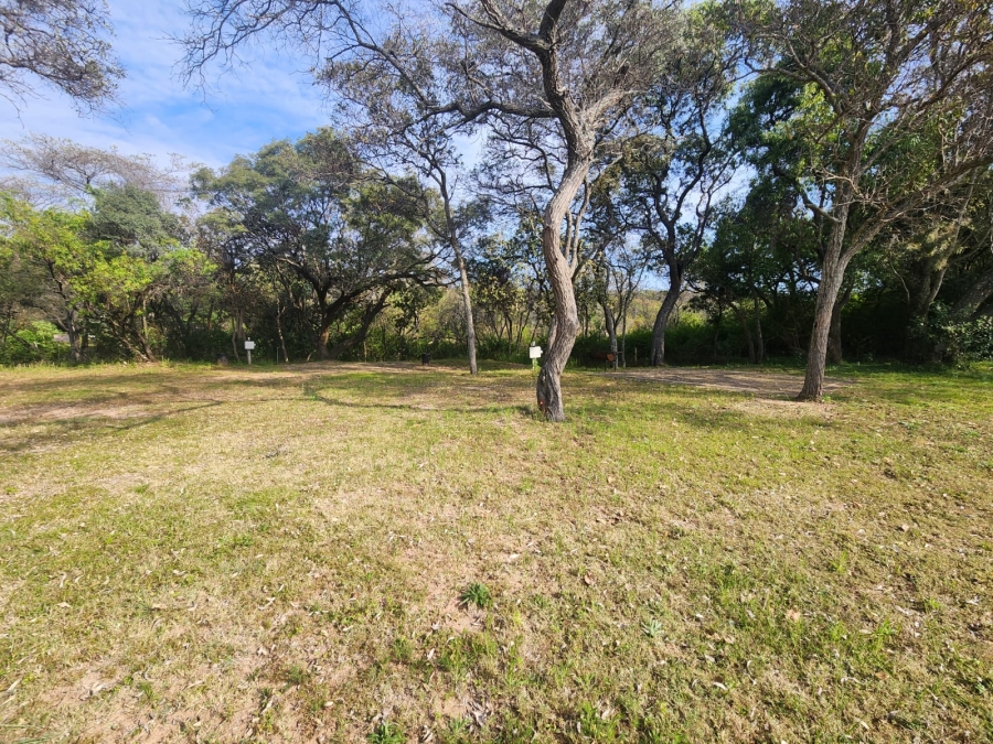 4 Bedroom Property for Sale in Bela Bela Limpopo