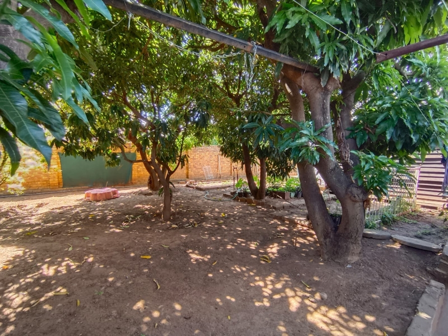 4 Bedroom Property for Sale in Jinnah Park Limpopo
