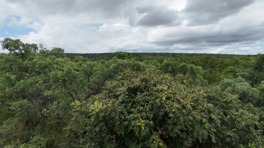 3 Bedroom Property for Sale in Intaba Indle Wilderness Estate Limpopo