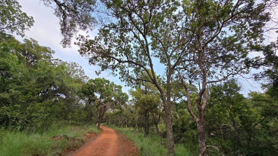 0 Bedroom Property for Sale in Verloren Estate Limpopo