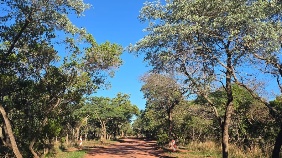 0 Bedroom Property for Sale in Verloren Estate Limpopo