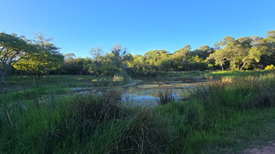 0 Bedroom Property for Sale in Verloren Estate Limpopo