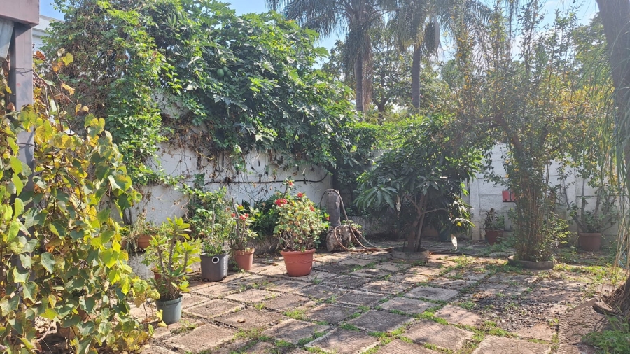 5 Bedroom Property for Sale in Bela Bela Limpopo