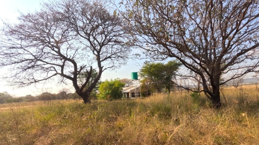 2 Bedroom Property for Sale in Modimolle Limpopo