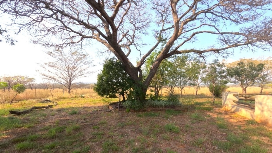 2 Bedroom Property for Sale in Modimolle Limpopo
