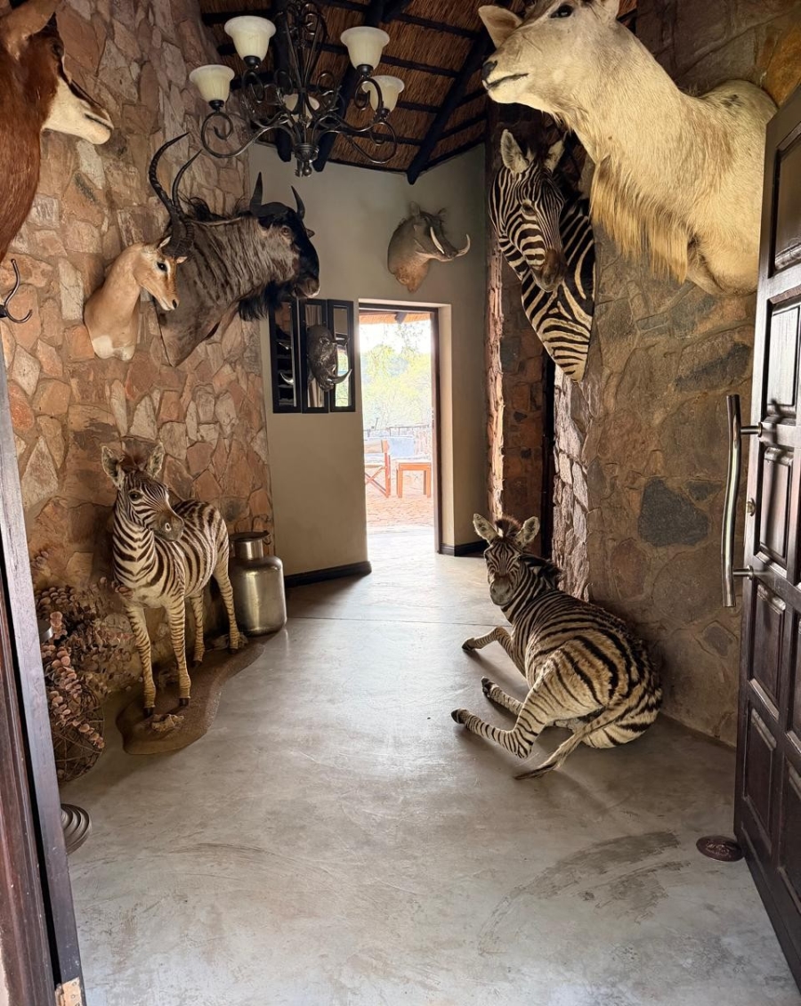13 Bedroom Property for Sale in Mopane Limpopo