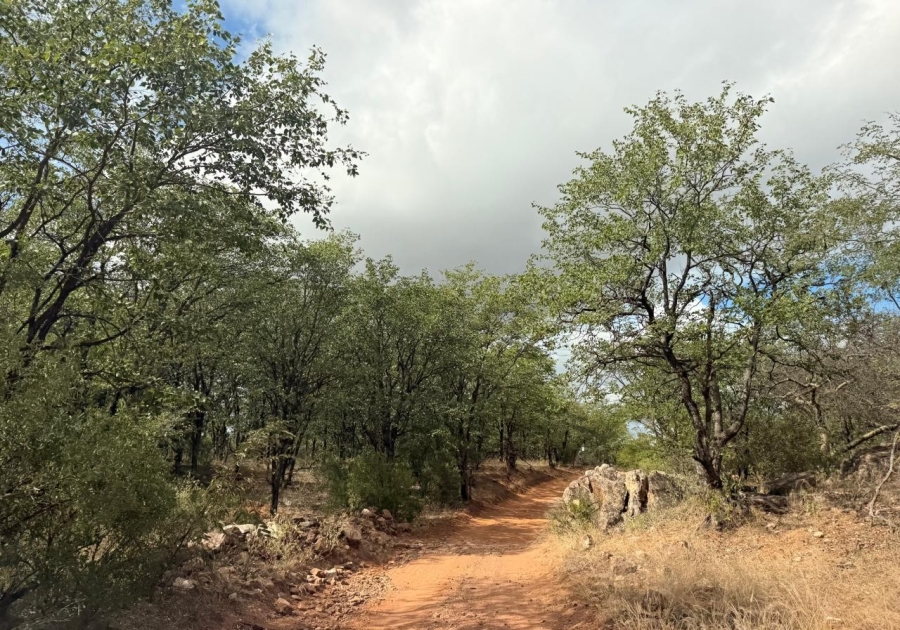 13 Bedroom Property for Sale in Mopane Limpopo
