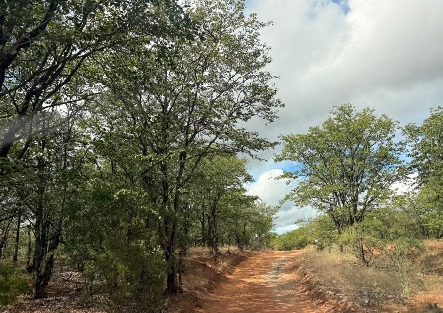 13 Bedroom Property for Sale in Mopane Limpopo