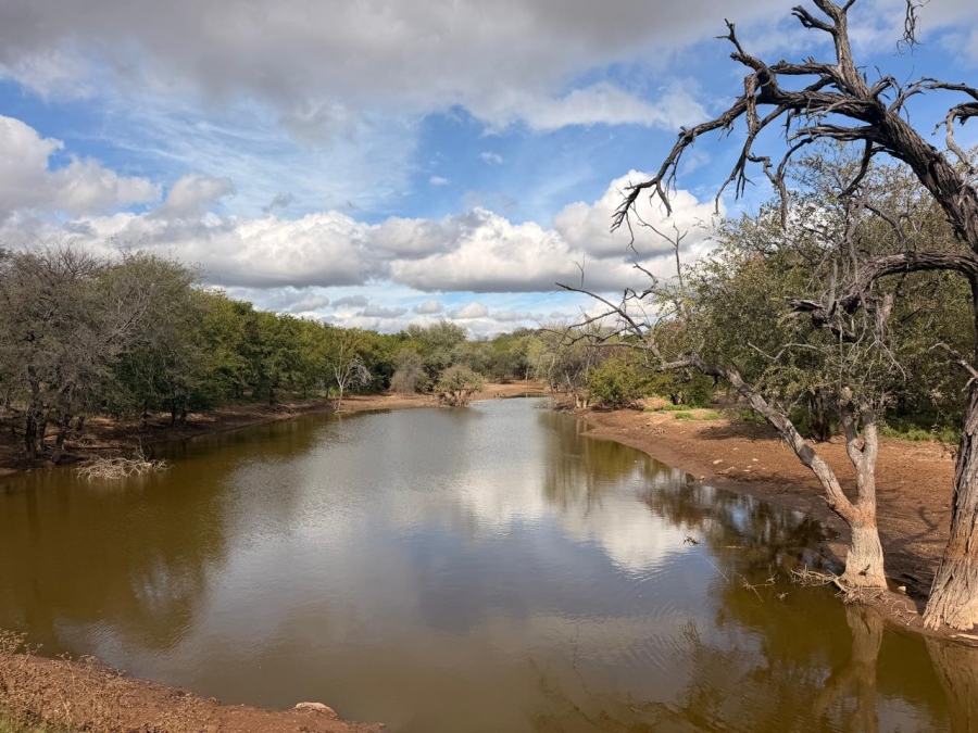 13 Bedroom Property for Sale in Mopane Limpopo