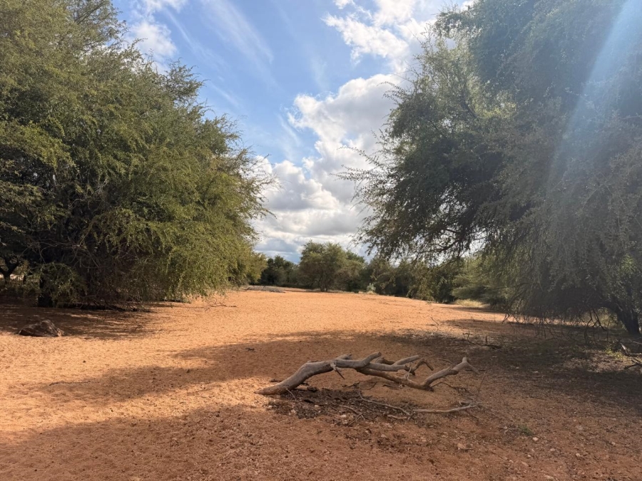 13 Bedroom Property for Sale in Mopane Limpopo