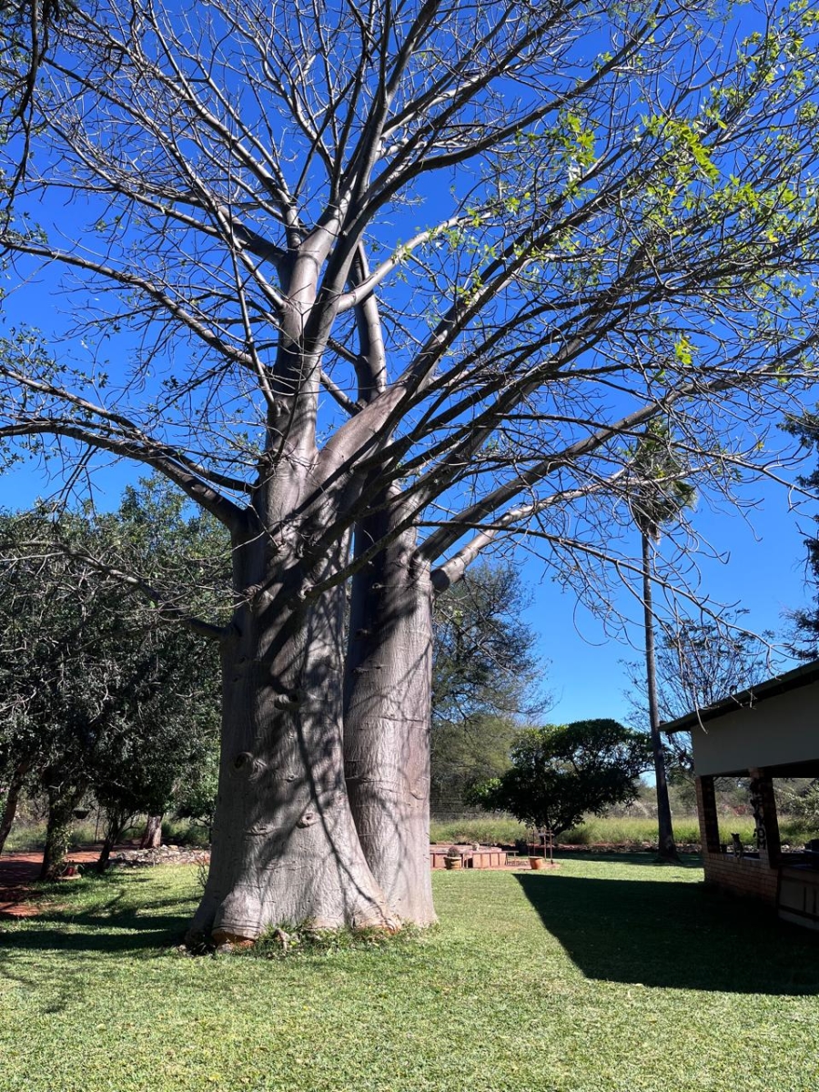 4 Bedroom Property for Sale in Alldays Limpopo