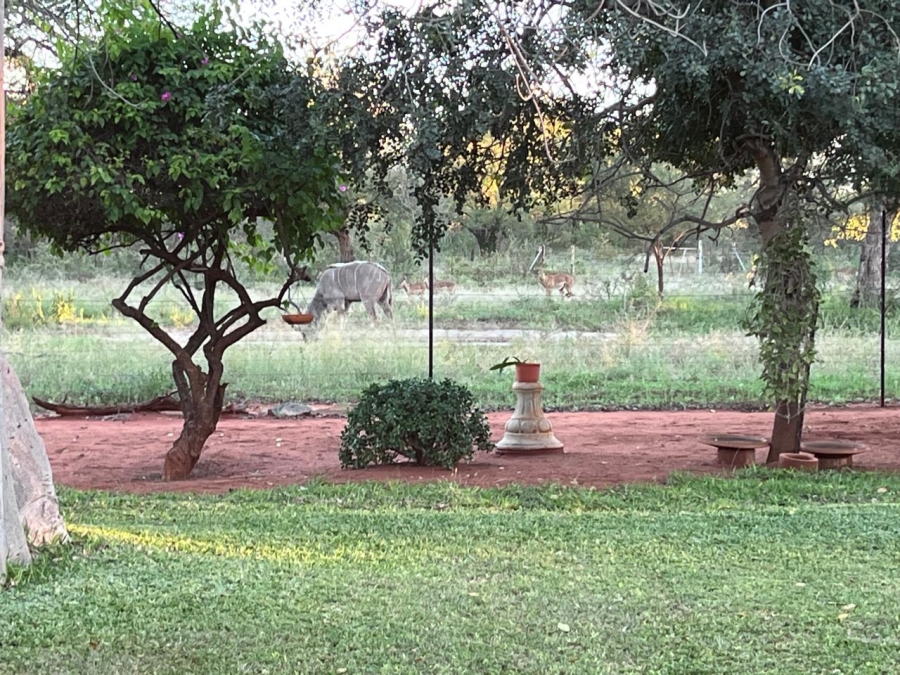4 Bedroom Property for Sale in Alldays Limpopo