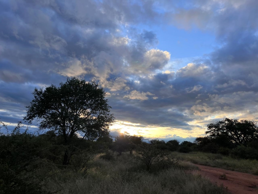 4 Bedroom Property for Sale in Alldays Limpopo