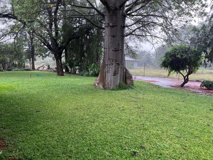 4 Bedroom Property for Sale in Alldays Limpopo