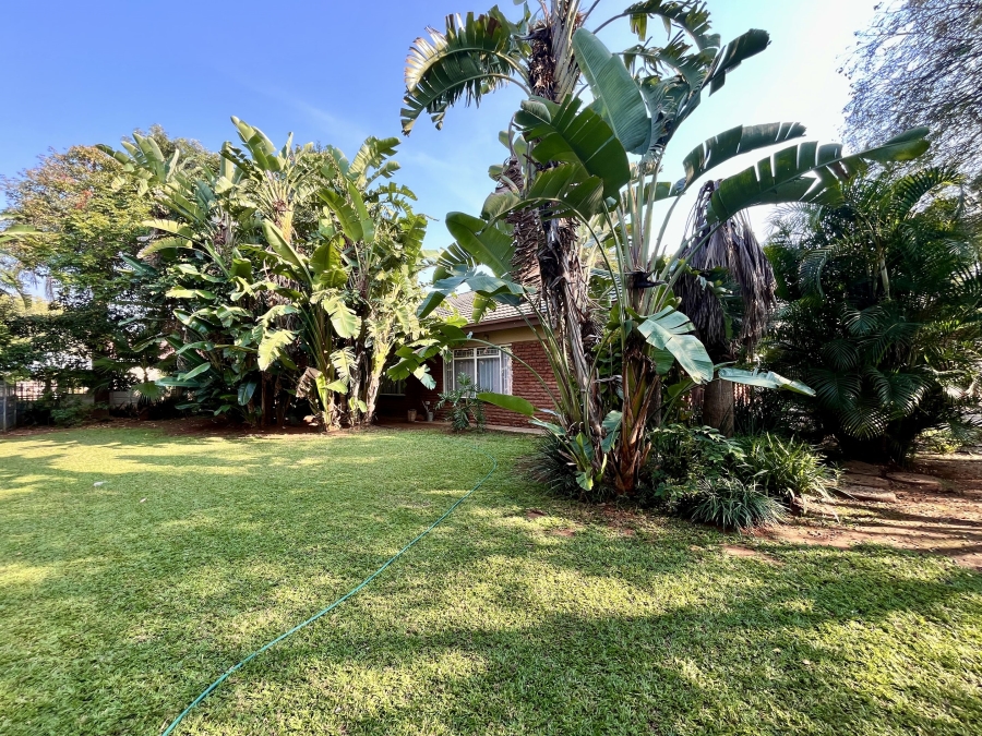 5 Bedroom Property for Sale in Bela Bela Limpopo