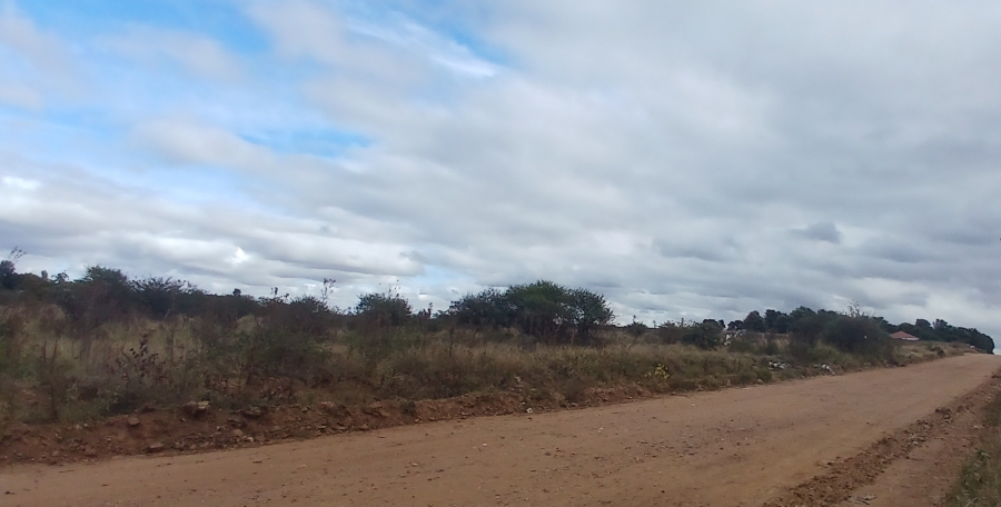 0 Bedroom Property for Sale in Ivydale A H Limpopo