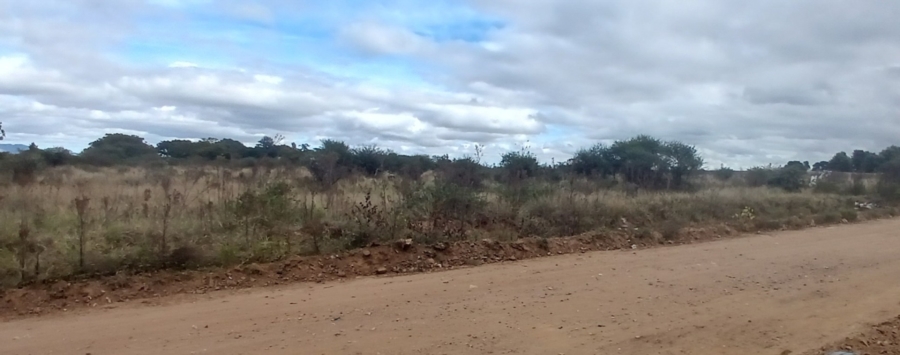 0 Bedroom Property for Sale in Ivydale A H Limpopo