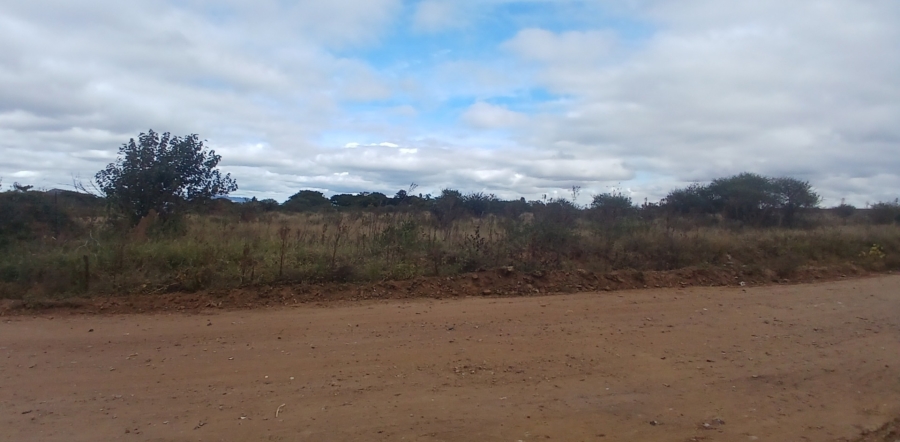 0 Bedroom Property for Sale in Ivydale A H Limpopo