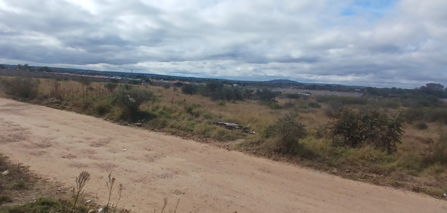 0 Bedroom Property for Sale in Ivydale A H Limpopo