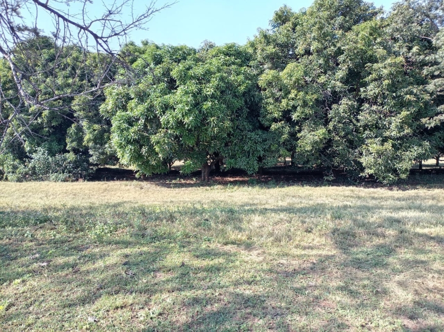 0 Bedroom Property for Sale in Doornhoek Equestrian Estate Limpopo