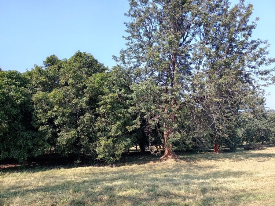0 Bedroom Property for Sale in Doornhoek Equestrian Estate Limpopo