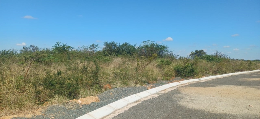0 Bedroom Property for Sale in Louis Trichardt Limpopo