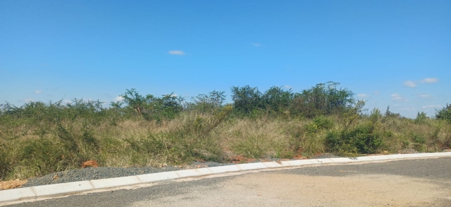 0 Bedroom Property for Sale in Louis Trichardt Limpopo