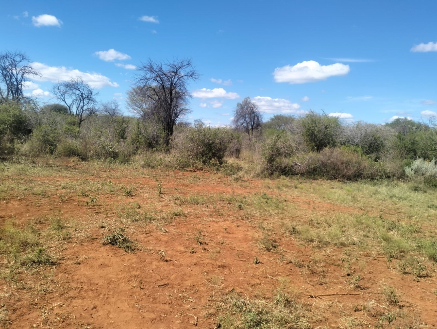 0 Bedroom Property for Sale in Thabazimbi Limpopo