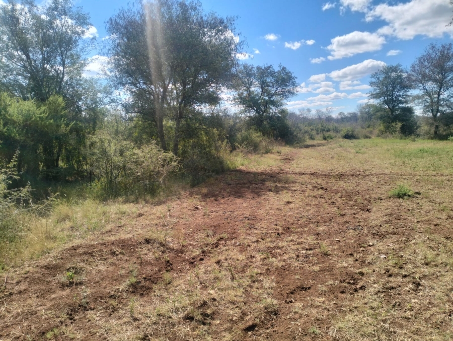 0 Bedroom Property for Sale in Thabazimbi Limpopo