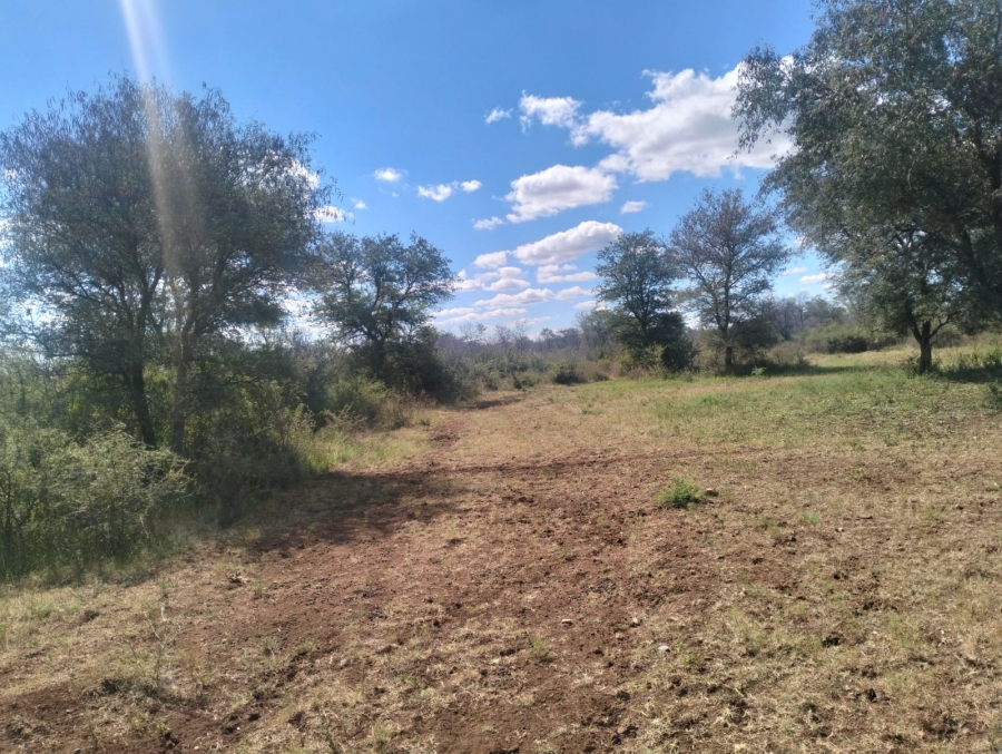 0 Bedroom Property for Sale in Thabazimbi Limpopo