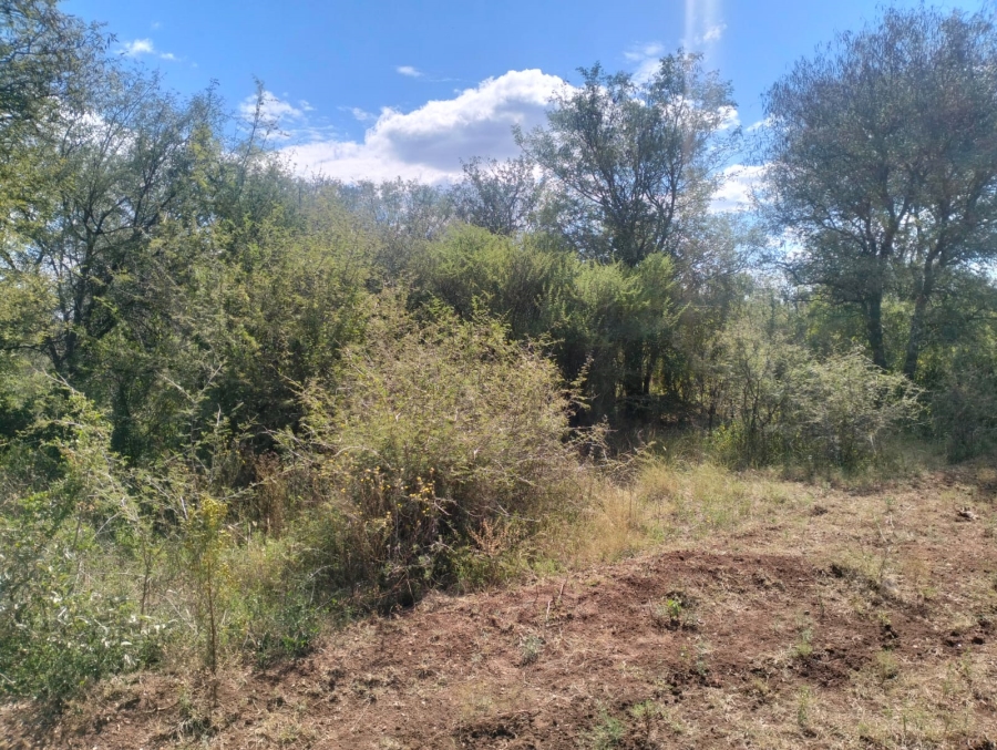 0 Bedroom Property for Sale in Thabazimbi Limpopo