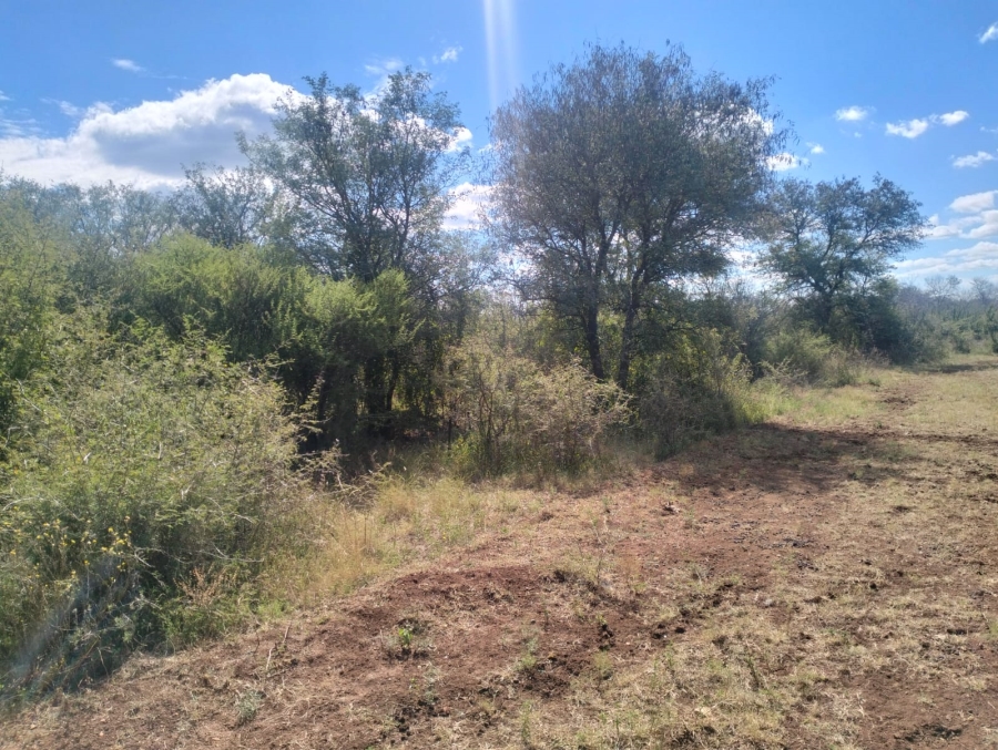 0 Bedroom Property for Sale in Thabazimbi Limpopo