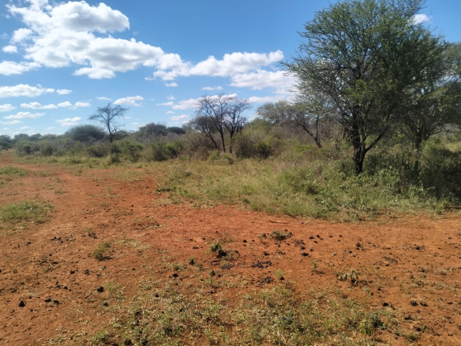 0 Bedroom Property for Sale in Thabazimbi Limpopo