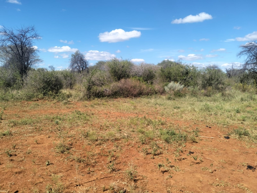 0 Bedroom Property for Sale in Thabazimbi Limpopo