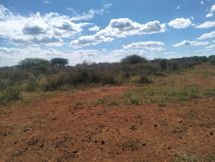 0 Bedroom Property for Sale in Thabazimbi Limpopo
