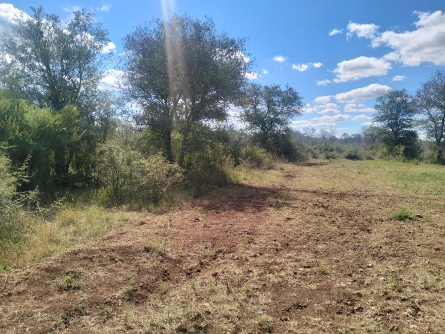 0 Bedroom Property for Sale in Thabazimbi Limpopo